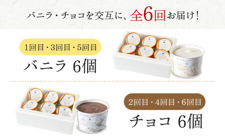 【全6回定期便】バニラとチョコの交互お届け！然オリジナル バニラアイスクリーム・チョコレートアイスクリーム[AOBD053]