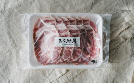 No.226 【定期便3回】山西牧場　ぶたづくしセット