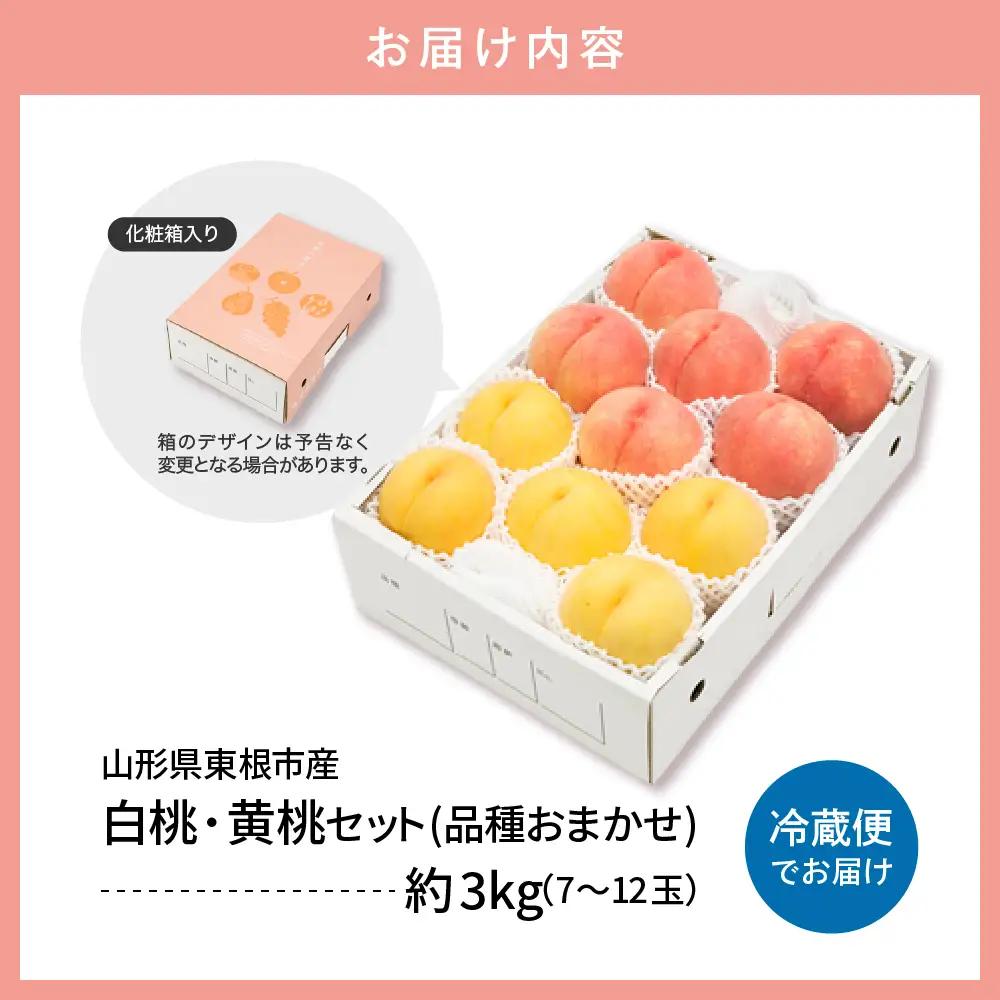 【2026年産 先行予約】 白桃＆黄桃 詰め合わせ (品種おまかせ) 3kg 秀品 化粧箱入り 東根農産センター提供 山形県 東根市 hi027-264 （東北 果物 フルーツ くだもの もも 桃 白