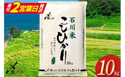【最短2営業日発送】 米 令和7年 石川米 こしひかり 精米 10kg [中橋商事 石川県 宝達志水町 38601198-sp] お米 こめ コメ 令和7年産 コシヒカリ 白米 ごはん ご飯 10キロ 能登 石川