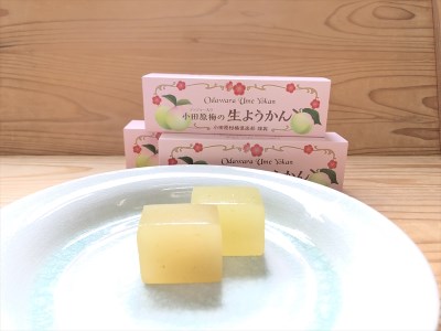 小田原老舗和菓子店の手づくり小田原梅の生ようかん【和菓子店 手作りようかん 小田原梅の生ようかん  職人の手作り 銘菓　梅 和スイーツ  神奈川県 小田原市 生ようかん 生ようかん 生ようかん 生ようかん 生ようかん】