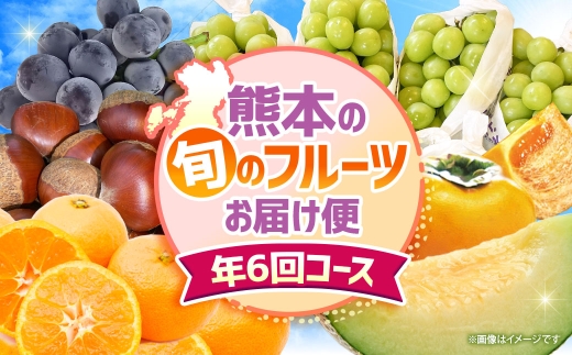 【 6ヶ月連続定期便 】 熊本の旬のフルーツお届け便 （ 7月上旬?12月下旬 ・ 年6回コース ） 果物 フルーツ ピオーネ シャインマスカット 栗 太秋柿 みかん デリシャス 塩アールスメロン 果