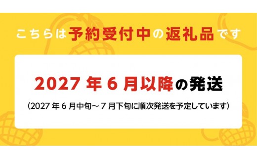 【2027年6月以降お届け】くるめで育った完熟マンゴー（3玉：約1.7kg） _ 贈答用 くるめで育った 完熟マンゴー 3玉 約 1.7kg 甘い 高糖度 地植栽培 ビタミンA トロピカル フルーツ 