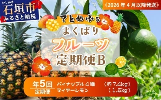 
            《2026年4月以降発送》パイナップル好きにおすすめ！大満足のパイナップル4品種＆青切りマイヤーレモン定期便　年5回に分けてお送りします
          