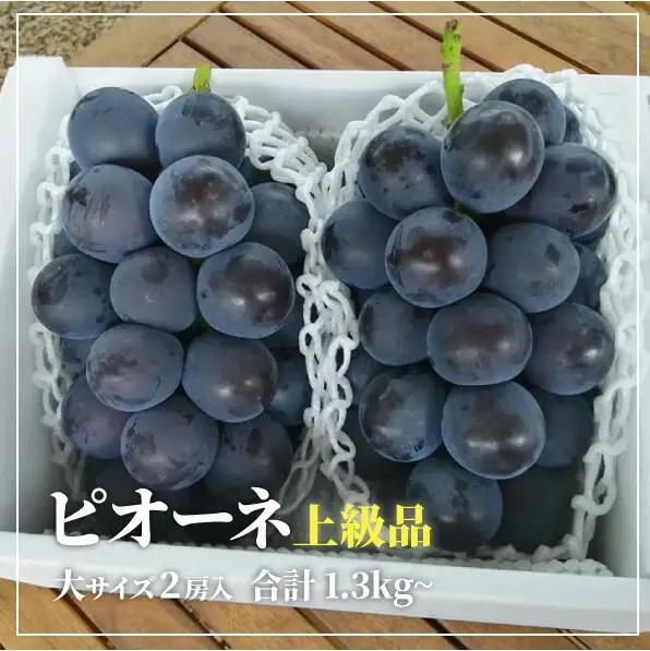 ピオーネ 岡山県産ぶどう 種なし大粒ピオーネ特大2房入1.3kg～ 【KF-B006-03】