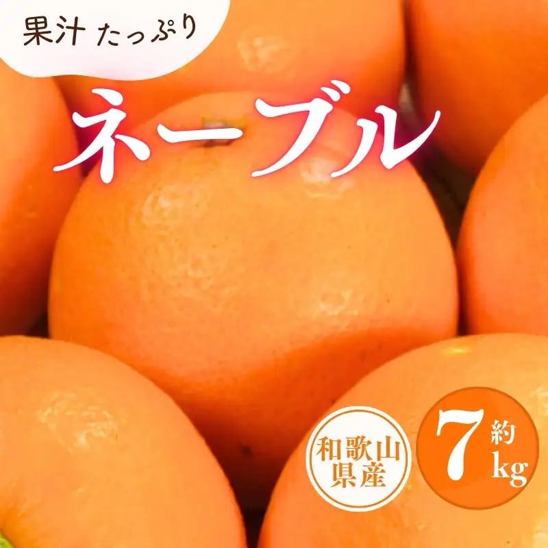 ネーブル 約7kg/サイズおまかせ　※2027年1月中旬～2027年2月中旬頃(お届け日指定不可)　紀伊国屋文左衛門本舗　【kstb430C】
