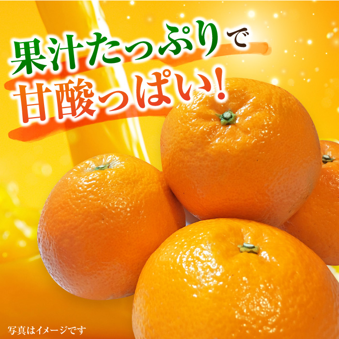 【1月中旬〜2月下旬発送】甘酸っぱくておいしい！佐賀県産 みかん 「伊予柑（いよかん）」 蜜柑 ミカン みかん  5kg 吉野ヶ里町/リエンサーク [FCC008]