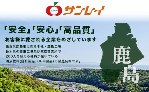 工場直送！うれしの茶 280ml×24本入 《3回 定期便》箱買い セット お茶 飲料 緑茶 飲み切りサイズ うれしの 嬉野茶 ペットボトル 24本入り 280ml ストック ギフト 贈り物 贈答 お