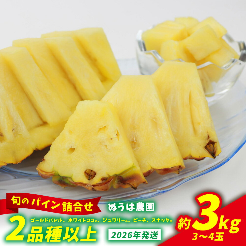 【ふるさと納税】農家お任せ 旬のパイン詰合せ 2品種以上 3～4玉（約3kg） 2026年発送 沖縄県産 東村 パイナップル ジューシー 希少 高級フルーツ 南国フルーツ 国産フルーツ 農家直送 パイン 果物 贈り物 おすすめ お土産 人気 やんばる 大自然 南国気分 沖縄本島北部