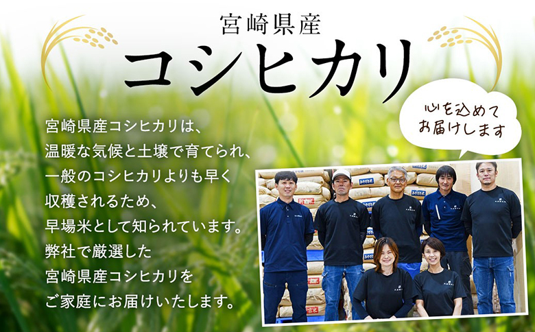 【12か月定期便】無洗米 ＜チャック付＞ 新米 国産 令和8年産 コシヒカリ 5kg×12回 宮崎県産 お米 白米 おすすめ 簡単 ご飯 弁当 精米 おにぎり