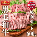 【ふるさと納税】＜A5等級＞鹿児島県産黒毛和牛焼肉セット(計600g・霜降り焼肉200g×2P、赤身焼肉200g×1P) 国産 九州産 牛肉 黒毛和牛 和牛 焼肉 焼き肉 赤身 霜降り A5 A5ランク A5等級 食べ比べ セット 冷凍【カミチク】