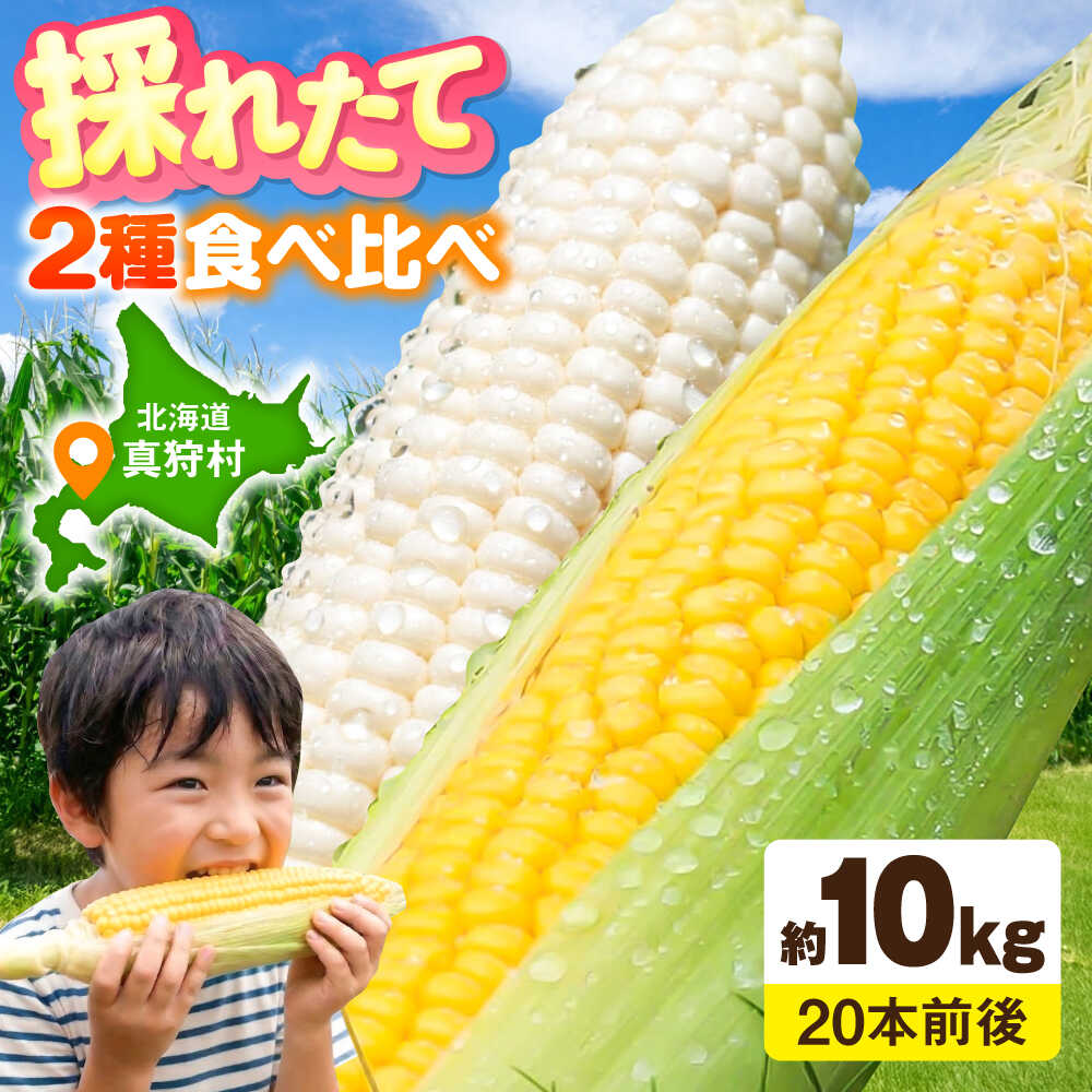 【ふるさと納税】白と黄色のとうもろこし 各5kg | とうもろこし とうきび トウモロコシ コーン 黄色 野菜 やさい BBQ 北海道 産地直送 ふるさと納税 とうきびおいしい 朝採れ お取り寄せ | 道の駅 真狩フラワーセンター[BPAM019]