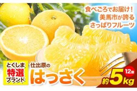 ＜ 先行予約 ＞ 八朔 はっさく 約5kg 12個 《2026年2月上旬‐2026月3月上旬頃出荷》仕出原八朔生産組合 果物 くだもの フルーツ 特選 ゼリー ジュース ピール 徳島県 美馬市 st-p