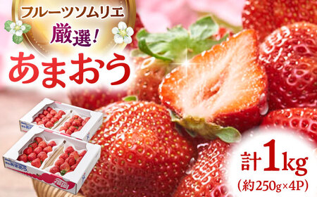 【2026年2月上旬より発送】福岡産【春】あまおう4パック 桂川町/南国フルーツ株式会社[ADBW008]あまおう 博多 福岡