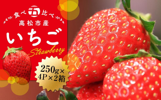 
                  高松市産いちご食べ比べセット　約250g×4パック入り×2箱【2027-1月中旬～2027-6月中旬】
                