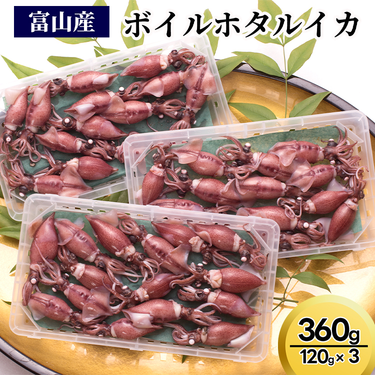 【2026年3月中旬以降発送】富山産ボイルホタルイカ360g（120g×3）※沖縄・離島への配送不可 ※2026年3月中旬～5月中旬頃に順次発送予定