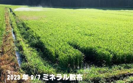 【令和6年産】ミネラル農法 茂賀野水源米【ヒノヒカリ 25kg】玄米 5kg×5袋【2024年11月上旬～2025年11月下旬発送予定】お米 米 こめ コメ お取り寄せ