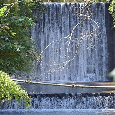 ふるさと納税 鹿島市 【令和5年産】お米マイスター厳選!夢しずく　佐賀県鹿島産　白米　30kg |  | 02