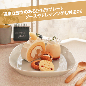 【美濃焼】 プレーリー グレー プレートL 2枚セット 瑞浪市 / JS企画 小田陶器 セット 食器 プレート 皿 小皿 [AZAZ258]