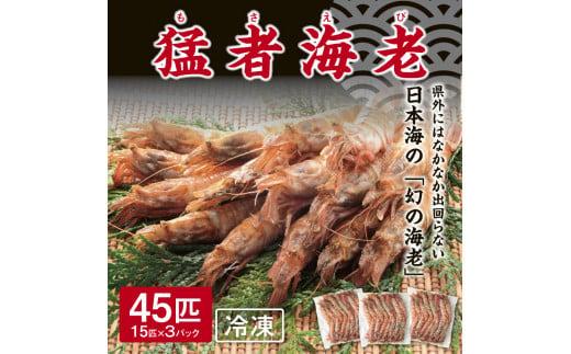 猛者海老 15匹×3パックセット【山根商店】