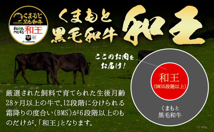 熊本県産A5等級和王 カタローススライス 約400g 帝神志方ミート株式会社《90日以内に出荷予定(土日祝除く)》熊本県 菊池市 牛肉 肉 お肉 和牛 くまもと黒毛和牛 熊本県産 A5 和王 肩ロース