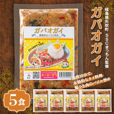 ふるさと納税 矢吹町 ラクうま!おうち本格タイ料理 ガパオガイ(鶏ひき肉のバジル炒め)5食入り