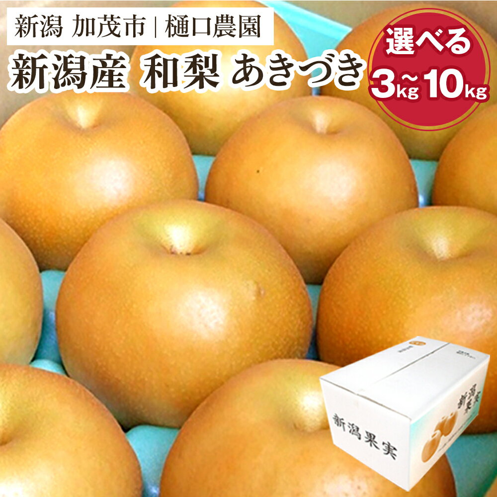 【ふるさと納税】【2025年先行予約】和梨 あきづき 選べる「3kg」or「5kg」or「10kg」《9月中旬から順次発送》果物 なし 梨 フルーツ 新鮮 ジューシー 産地 加茂市 樋口農園