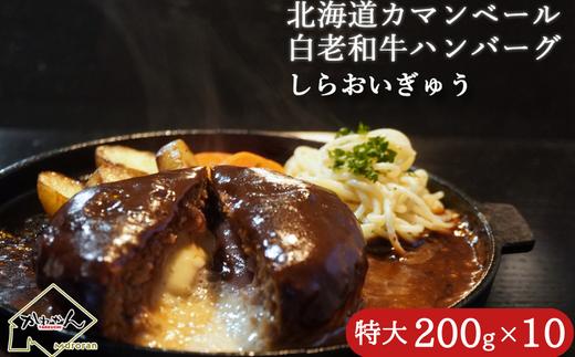 道産和牛カマンベールチーズハンバーグ（200g）10個入り 【 ふるさと納税 人気 おすすめ ランキング 北海道産 和牛 ダブルチーズ Wチーズ ハンバーグ 肉 肉厚 チーズ カマンベール デミグラス セット 大容量 詰合せ 北海道 室蘭市 送料無料 】 MROA050