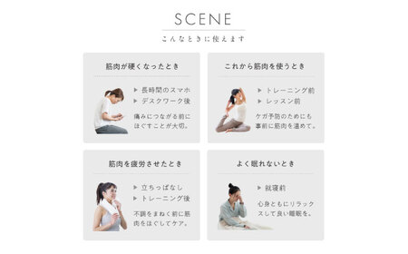 MIVIOS ハンドルローラープラス/MVS317[AOAB121] ダイエット ダイエット ダイエット ダイエット ダイエット 