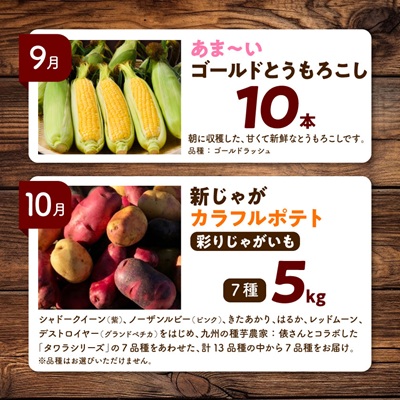 【発送月固定定期便】直送!【北海道の定番便】十勝ガールズ農場の野菜セレクション全3回【配送不可地域：離島】