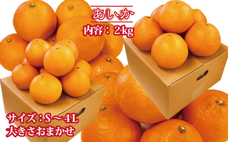 【2026年先行予約】訳あり 愛果28号 約2kg ご家庭用 みかん 愛媛 人気 サイズミックス 柑橘 伊予市【2026年12月上旬順次発送】｜B172