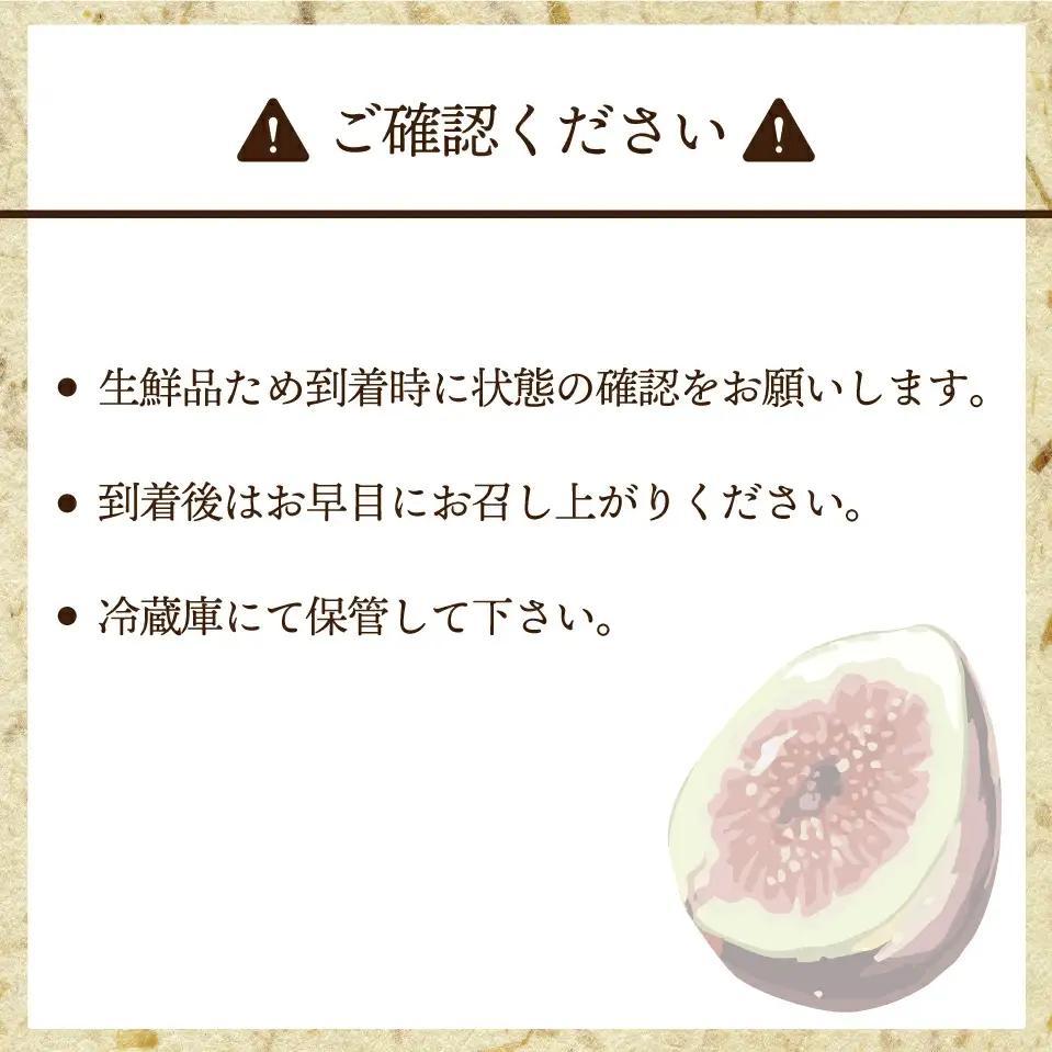 【令和8年度産】【先行予約】福岡県ブランドいちじく「博多とよみつひめ」300g×4パック [M775-2] 福岡県限定 果肉 上品 甘い なめらか食感 糖度17度 フルーツ 果物