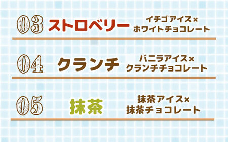 チョコアイスボールセット（65粒入）5種類×13個（バニラ、ストロベリー、コーヒー、クランチ、抹茶）　A002