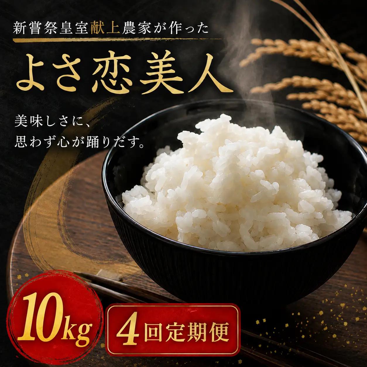 【令和8年産】 新米 定期便 10kg×4回 よさ恋美人 新米 AS006