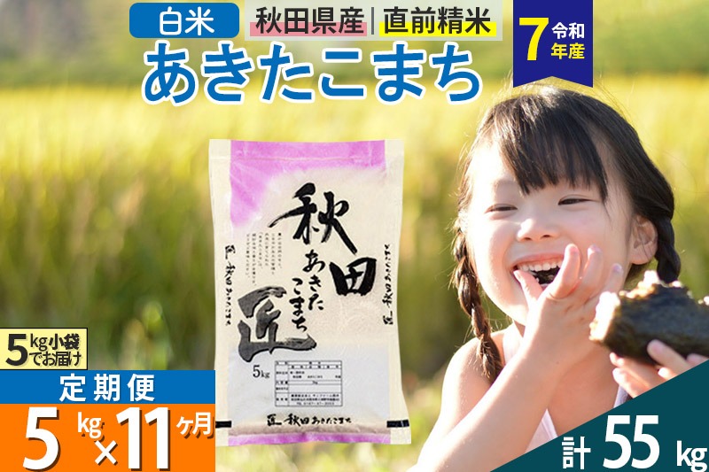 【白米】＜令和7年産＞ 《定期便11ヶ月》秋田県産 あきたこまち 5kg (5kg×1袋)×11回 5キロ お米 匠 |02_snk-010311s
