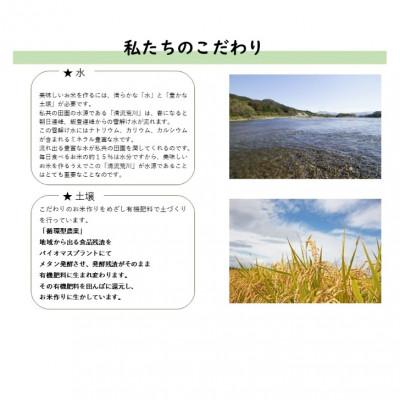 ふるさと納税 村上市 【令和6年産米】にいがた岩船産コシヒカリ(神林産地)5kg A4134 |  | 03