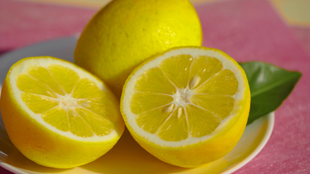 先行予約 マイヤー レモン 約3kg （レモン × オレンジ）【うちやま果樹園】【2026年1月下旬-2026年2月中旬発送予定】レモン れもん 檸檬 柑橘 フルーツ 果物 くだもの