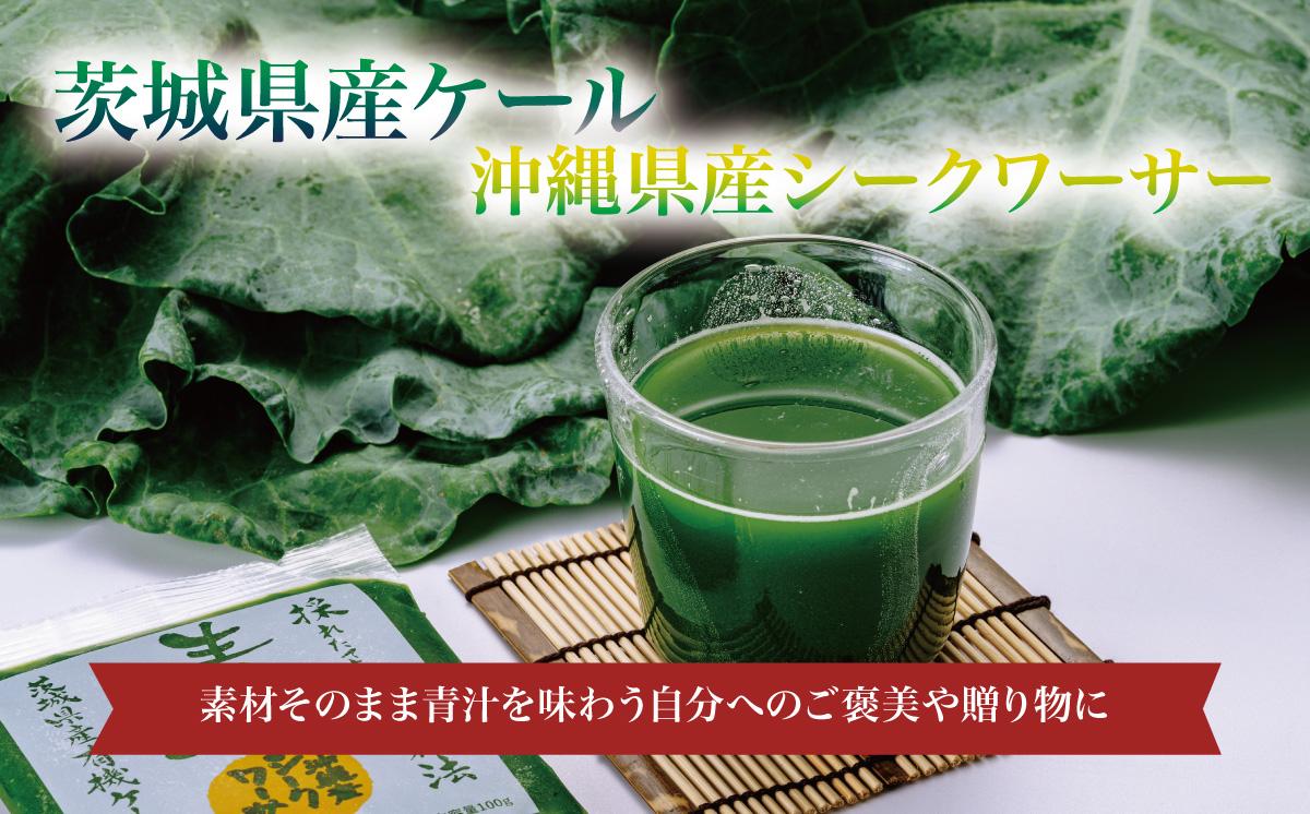 青汁シークワーサー入り 100g × 30 パック ＜離島・沖縄配送不可＞【 茨城県 つくば市 飲料 ドリンク あおじる 青汁 健康  無添加 有機ケール オーガニックケール 】