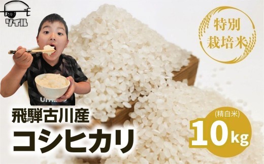 《先行予約》令和8年産 飛騨産 特別栽培米 こしひかり 白米 10kg コシヒカリ 新米 お米 米 精米 ごはん ご飯 特A 単一原料米 米 単品 10キロ ソイル 飛騨市 36000円