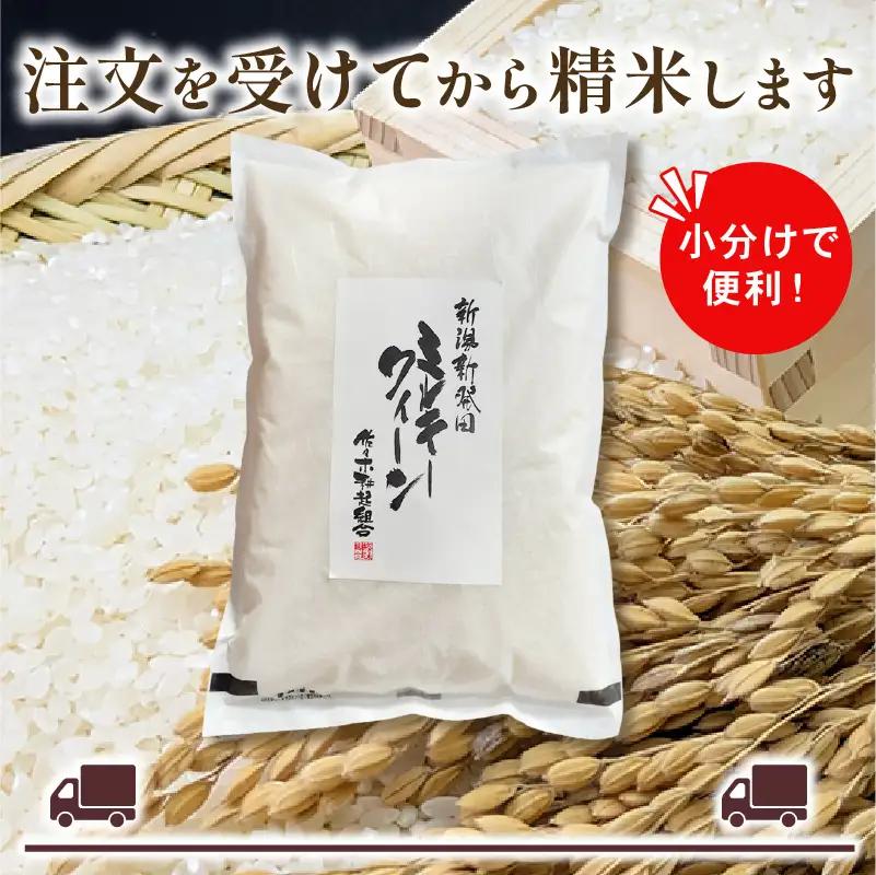 【新米 定期便】 令和8年産 新潟県産 ミルキークイーン 6kg × 6ヶ月 米 お米 ごはん 白米 佐々木耕起組合 プレゼント ギフト 贈答 定期便 特別栽培米 佐々木耕起 佐々木こうき 新潟県新発