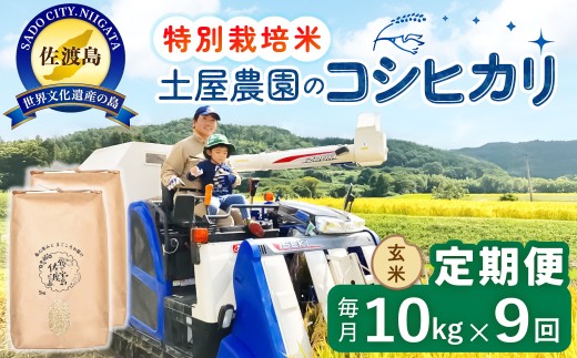 【9か月定期便 コシヒカリ】佐渡島産コシヒカリ 玄米 合計90kg（10kg（5kg×2袋）×全9回）令和8年産 新米 特別栽培米 | 新潟県産コシヒカリ 新潟産コシヒカリ 新潟コシヒカリ 佐渡産コシヒカリ 新潟県産こしひかり 佐渡産こしひかり お米 米 こしひかり 玄米 げんまい ブランド米 おこめ コメ 10キロ にいがた さど 新潟県 佐渡市