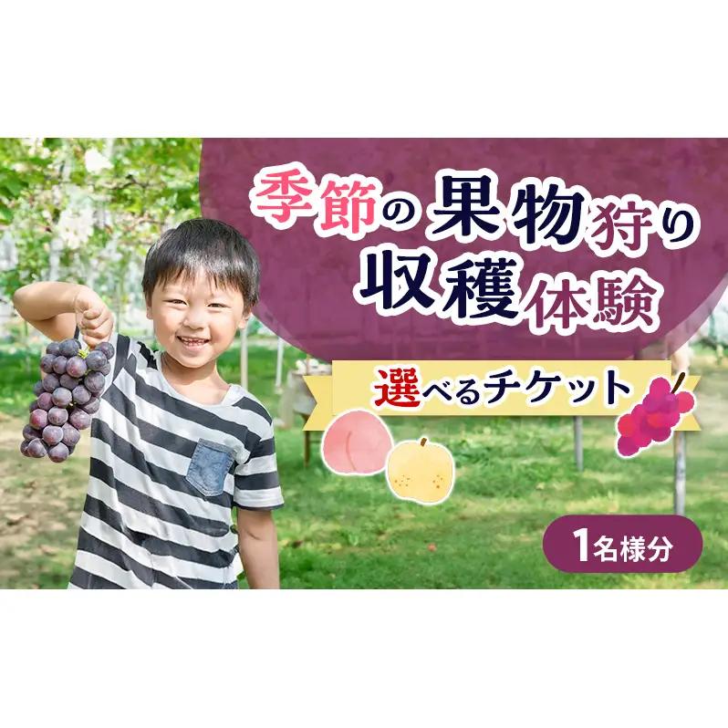 果物狩り 収穫体験 選べる チケット 1名様分 シャインマスカット ぶどう 梨 桃 藤原園芸 果物狩り
