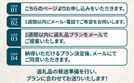 コンシェルジュ 【雲南市コンシェルジュ】返礼品おまかせ！寄附額30万円コース 300000円 [AIDM004]