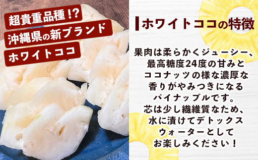【マツコの知らない世界で絶賛！】《2025年4月以降発送》【先行予約】パイナップル好きにおすすめ！満足のパイナップル4品種定期便【 沖縄 石垣 ピーチ ホワイトココ ジュワリー スナック パイン パイ