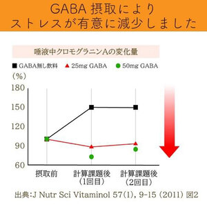 048-33　お茶の荒畑園　GABAの国産プーアール茶ティーパック（4ｇ×30包）〈機能性表示食品〉