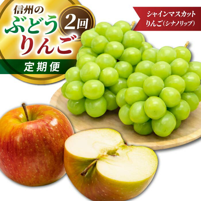 【ふるさと納税】信州のぶどう・りんご2回定期便（シナノリップ・シャインマスカット）｜JA信州うえだ農業協同組合 長野県 東御市産
