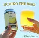 【ふるさと納税】UCHIKO THE BEER　350ml×6缶セット | お酒 さけ クラフトビール 人気 おすすめ 送料無料 ギフト