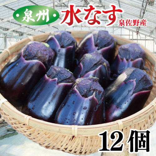 【先行予約】泉州 水なす 12個【ハウス栽培 新鮮 野菜 泉佐野産 茄子 数量限定】 G1489