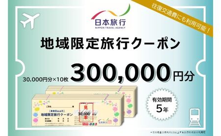 旅行クーポン 日本旅行 成田市 地域限定 宿泊 体験 旅行クーポン【300,000円分】