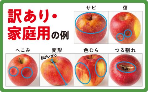 りんご 3種のりんご＜定期便＞ 家庭用・訳あり3kg×3回 農家応援企画 【令和5年度収穫分】 ※沖縄県への配送不可 ※2023年8月下旬頃から順次発送 長野県飯綱町[0794]